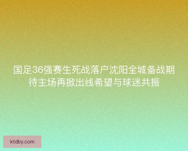 国足36强赛生死战落户沈阳全城备战期待主场再掀出线希望与球迷共振